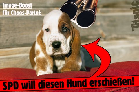 Imageboost für SPD