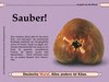 Sauber!